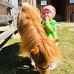 Vorberghof 3* Ramsau am Dachstein