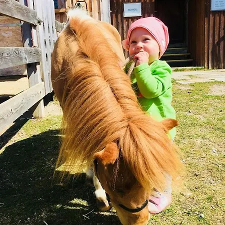 Vorberghof- Bauernhofurlaub 4* Ramsau am Dachstein