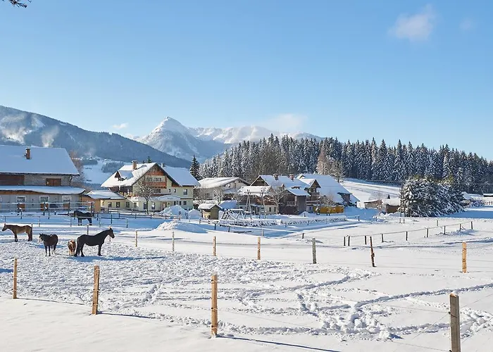 Vorberghof- Bauernhofurlaub 4* Ramsau am Dachstein