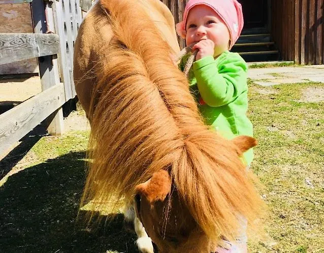 Vorberghof- Bauernhofurlaub 4* Ramsau am Dachstein